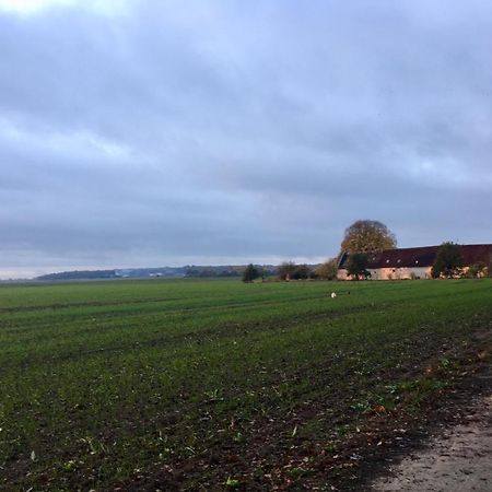 Bed and Breakfast Le Grand Coudreau Nazelles-Negron Esterno foto
