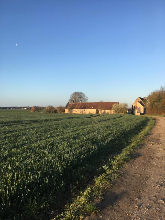 Bed and Breakfast Le Grand Coudreau Nazelles-Negron Esterno foto