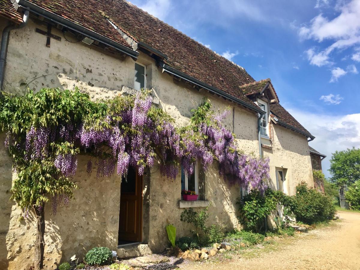 Bed and Breakfast Le Grand Coudreau Nazelles-Negron Esterno foto