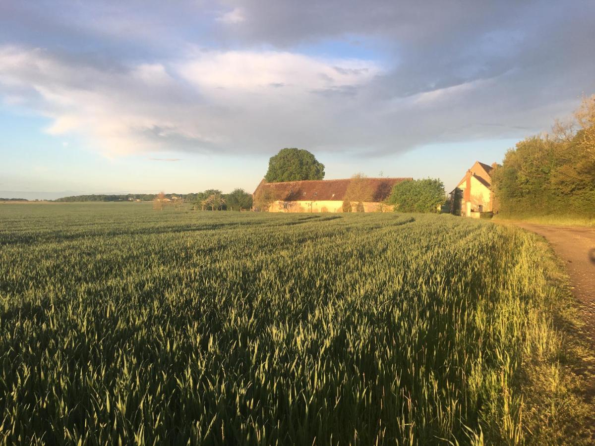 Bed and Breakfast Le Grand Coudreau Nazelles-Negron Esterno foto